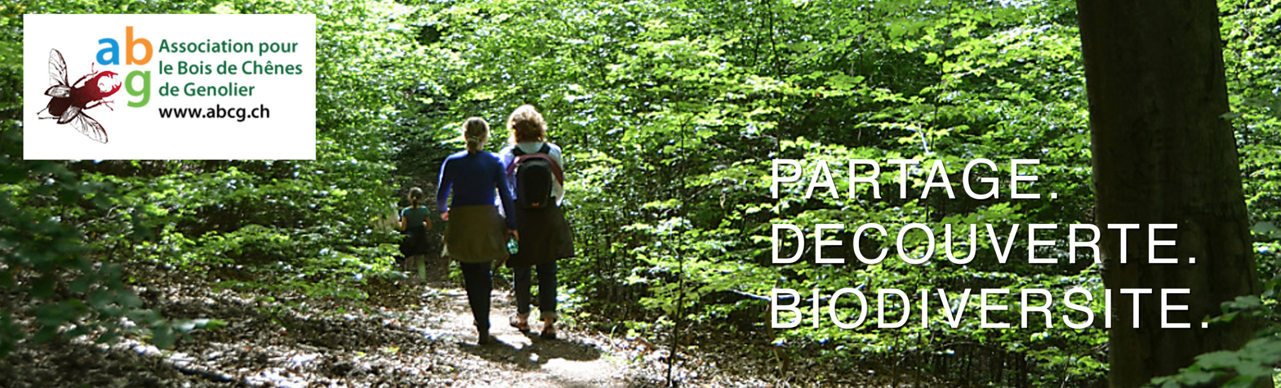 association du bois de chênes de Genolier