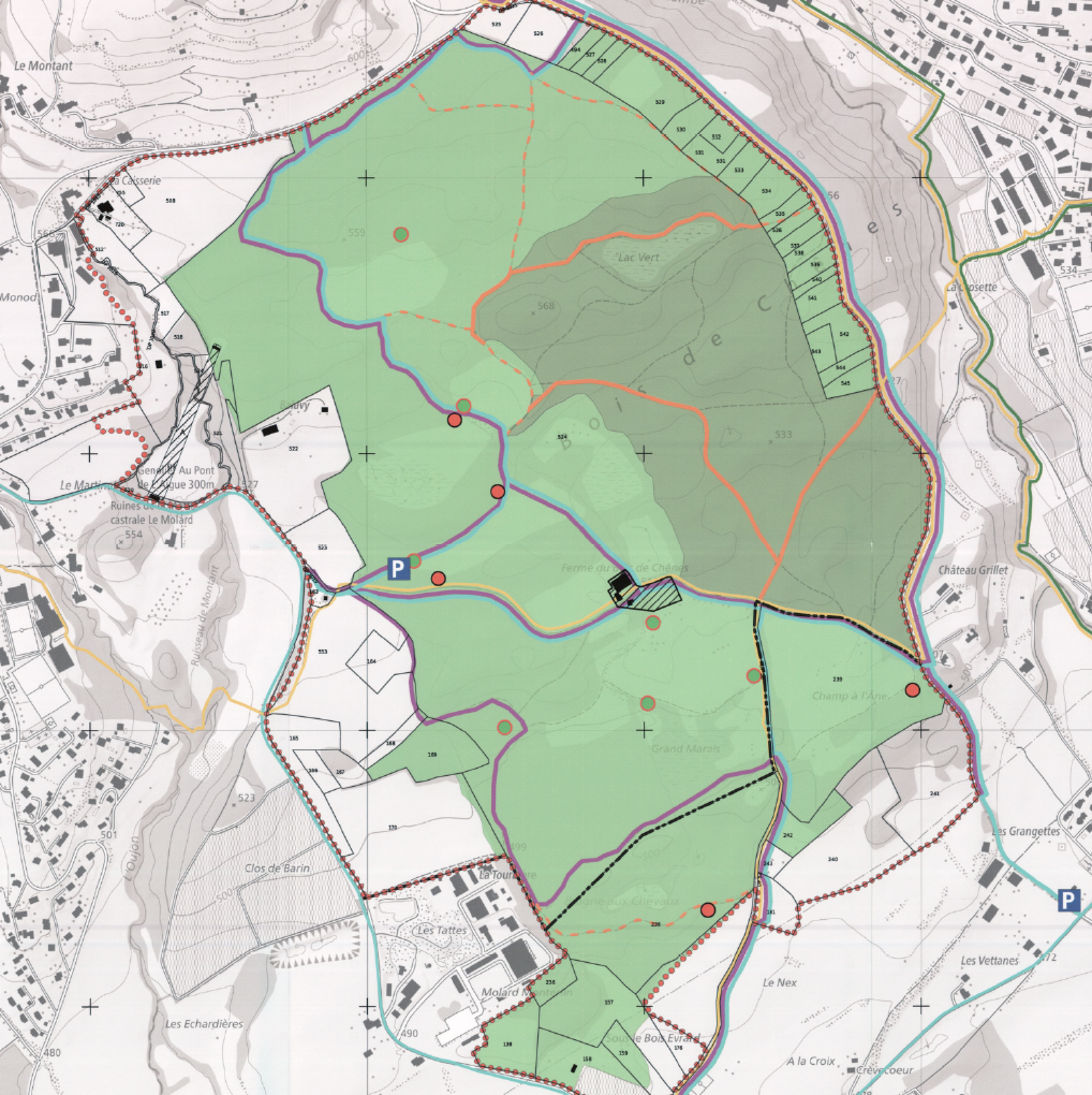 association du bois de chênes de Genolier