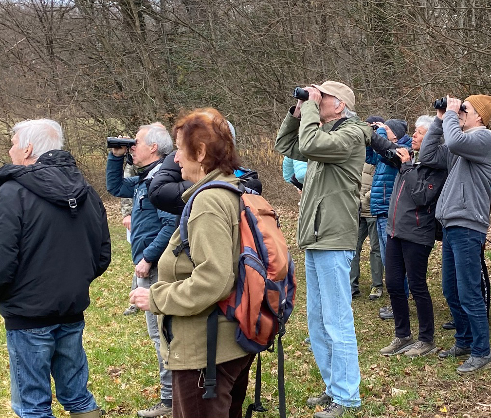 association du bois de chênes de genolier
